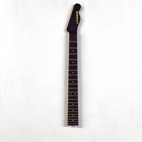 Moses Telecaster Graphite Neck - Graphite