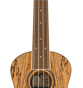 Fender Zuma Exotic Concert Ukulele Spalted Maple