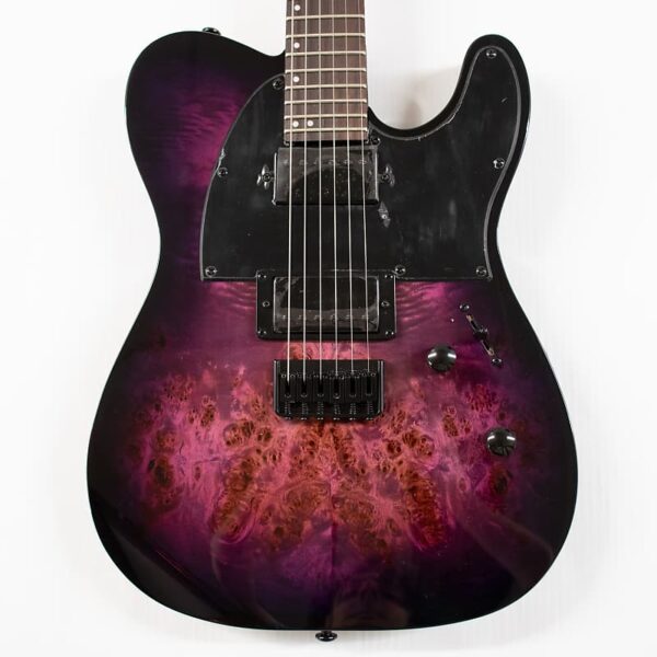 ESP LTD TE-200DX Electric Guitar - Purple Burst