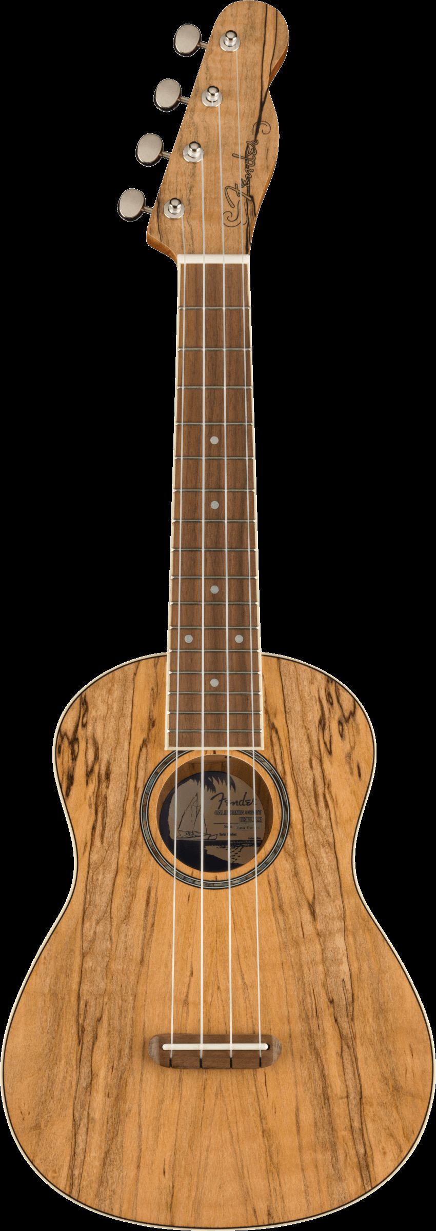 Fender Zuma Exotic Concert Ukulele Spalted Maple